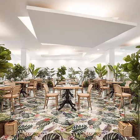 度假村 米开朗基罗度假及spa酒店