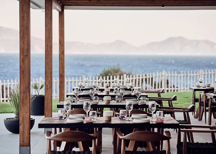 Michelangelo & Агиос-Фокас